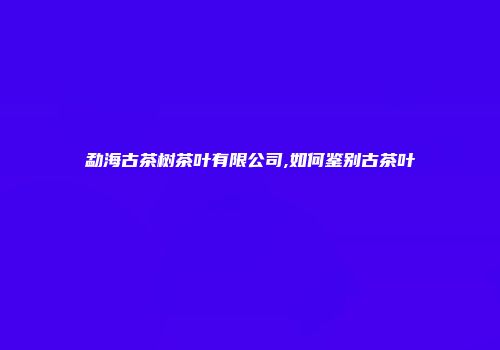 勐海古茶树茶叶有限公司,如何鉴别古茶叶