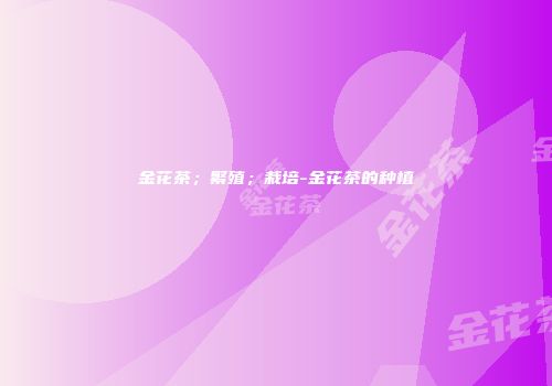 金花茶；繁殖；栽培-金花茶的种植