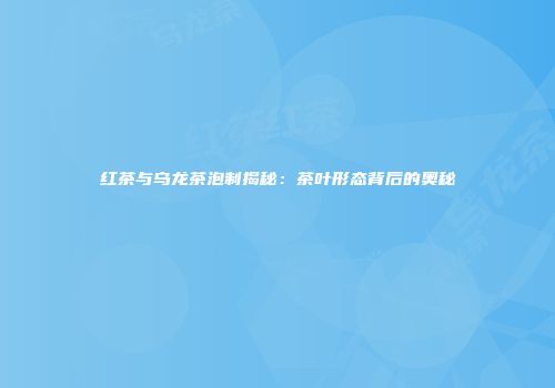 红茶与乌龙茶泡制揭秘：茶叶形态背后的奥秘