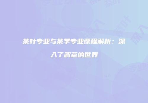 茶叶专业与茶学专业课程解析：深入了解茶的世界