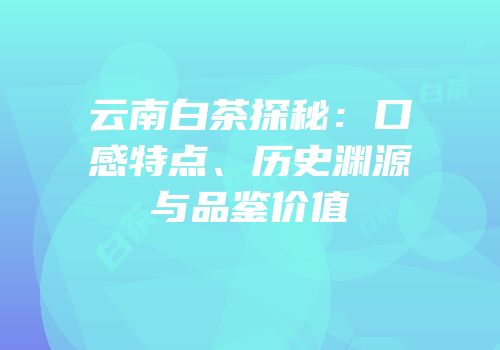云南白茶探秘：口感特点、历史渊源与品鉴价值