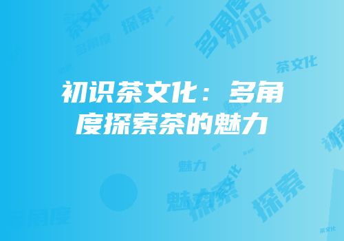 初识茶文化：多角度探索茶的魅力