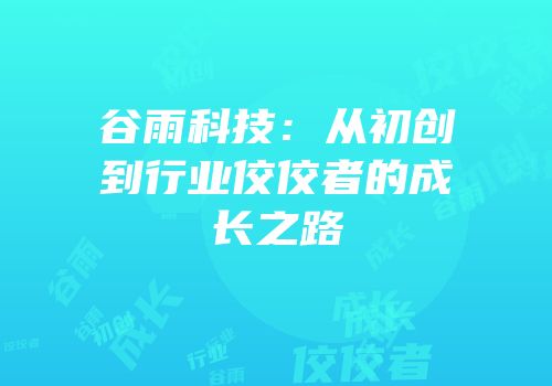 谷雨科技：从初创到行业佼佼者的成长之路