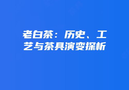 老白茶：历史、工艺与茶具演变探析
