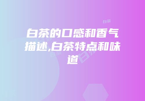 白茶的口感和香气描述,白茶特点和味道