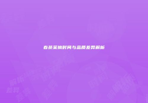 春茶采摘时间与品质差异解析