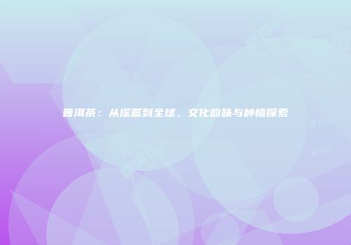 普洱茶：从摇篮到全球，文化韵味与种植探索