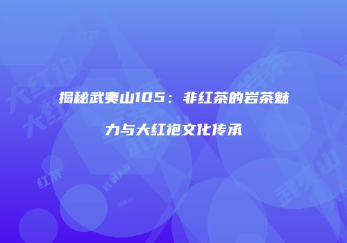 揭秘武夷山105：非红茶的岩茶魅力与大红袍文化传承