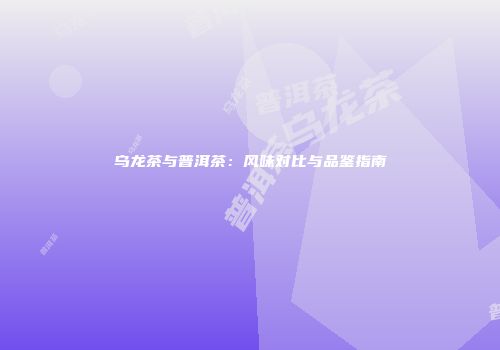 乌龙茶与普洱茶：风味对比与品鉴指南