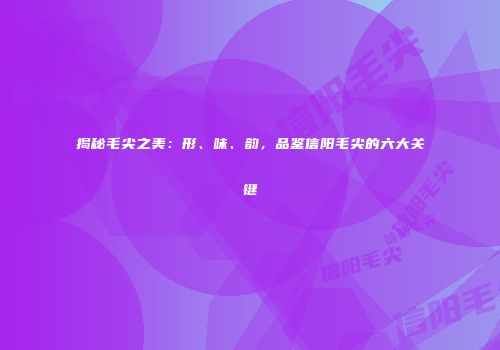 揭秘毛尖之美：形、味、韵，品鉴信阳毛尖的六大关键