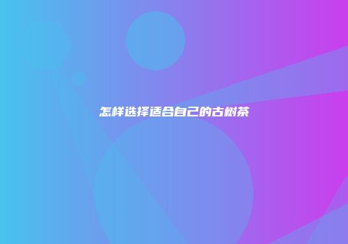 怎样选择适合自己的古树茶
