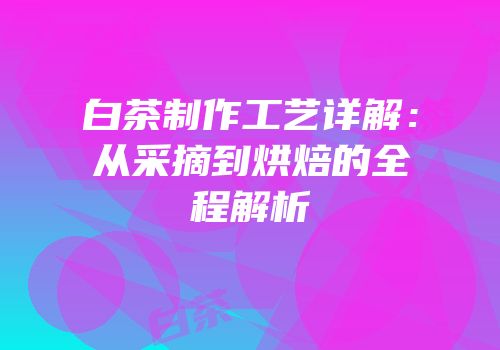 白茶制作工艺详解：从采摘到烘焙的全程解析