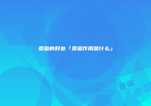 贡菊的好处「贡菊作用是什么」