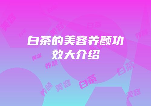 白茶的美容养颜功效大介绍