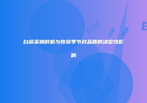白茶采摘时机与收获季节对品质的决定性影响