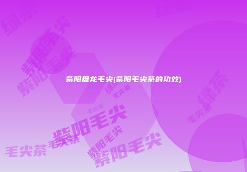 紫阳盘龙毛尖(紫阳毛尖茶的功效)