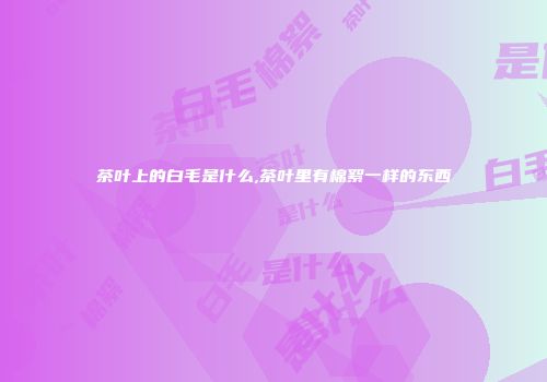 茶叶上的白毛是什么,茶叶里有棉絮一样的东西