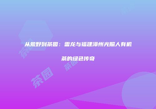 从荒野到茶园：雷龙与福建漳州光照人有机茶的绿色传奇