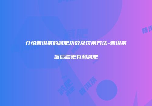 介绍普洱茶的减肥功效及饮用方法-普洱茶饭后喝更有利减肥