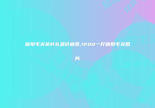 信阳毛尖茶叶礼盒价格表,1200一斤信阳毛尖图片