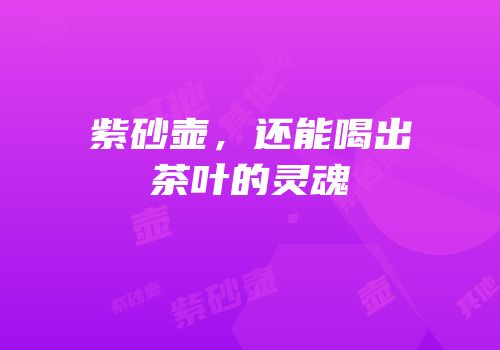 紫砂壶，还能喝出茶叶的灵魂