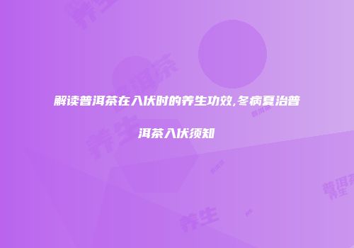 解读普洱茶在入伏时的养生功效,冬病夏治普洱茶入伏须知