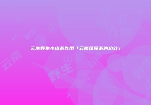 云南野生小山茶作用「云南凤尾茶的功效」