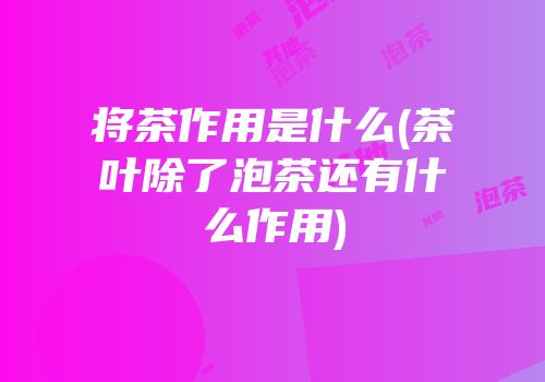 将茶作用是什么(茶叶除了泡茶还有什么作用)