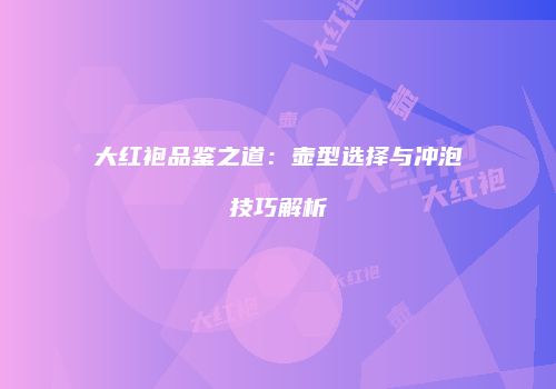 大红袍品鉴之道：壶型选择与冲泡技巧解析