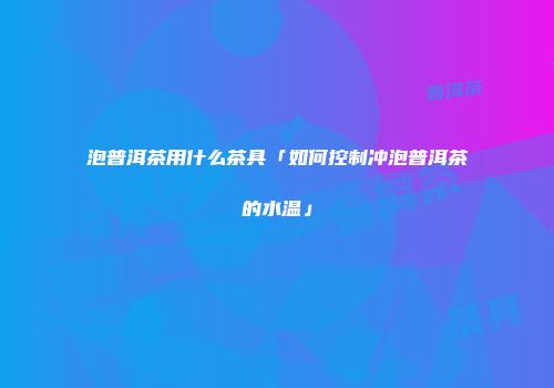 泡普洱茶用什么茶具「如何控制冲泡普洱茶的水温」