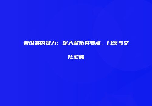 普洱茶的魅力：深入解析其特点、口感与文化韵味