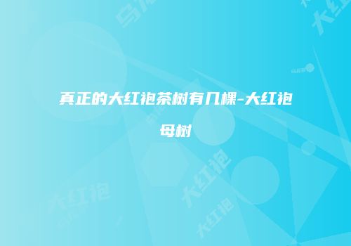 真正的大红袍茶树有几棵-大红袍母树