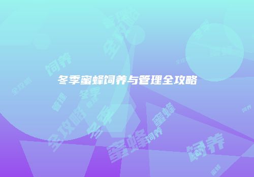 冬季蜜蜂饲养与管理全攻略