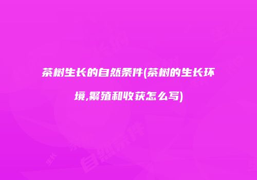 茶树生长的自然条件(茶树的生长环境,繁殖和收获怎么写)