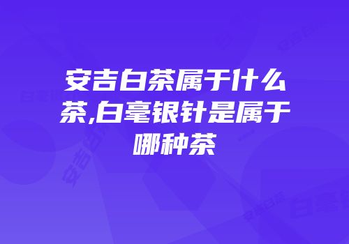 安吉白茶属于什么茶,白毫银针是属于哪种茶