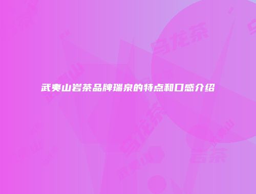 武夷山岩茶品牌瑞泉的特点和口感介绍