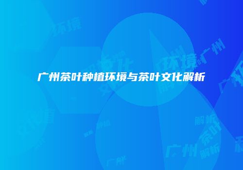 广州茶叶种植环境与茶叶文化解析