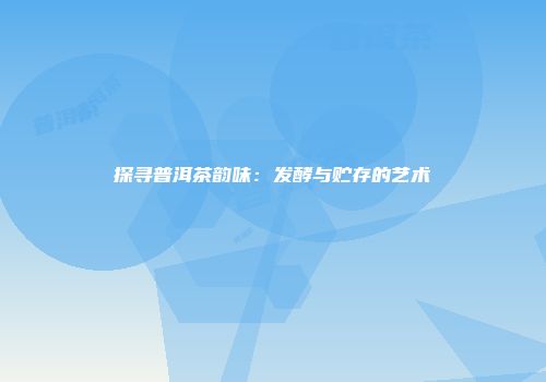 探寻普洱茶韵味：发酵与贮存的艺术