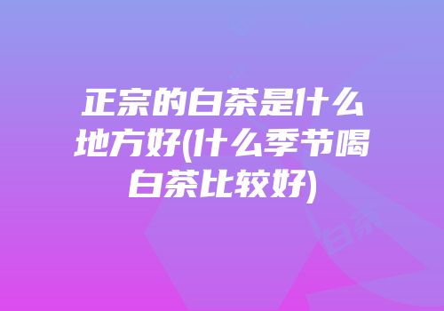 正宗的白茶是什么地方好(什么季节喝白茶比较好)