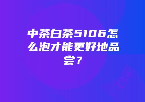 中茶白茶5106怎么泡才能更好地品尝？