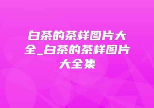 白茶的茶样图片大全_白茶的茶样图片大全集