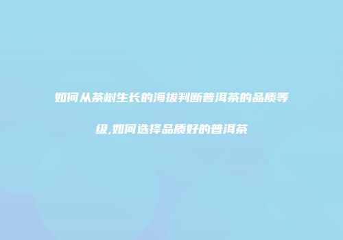 如何从茶树生长的海拔判断普洱茶的品质等级,如何选择品质好的普洱茶