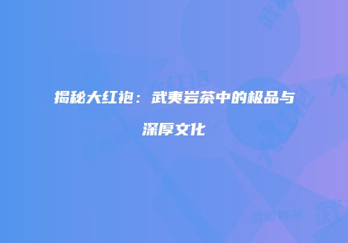 揭秘大红袍：武夷岩茶中的极品与深厚文化