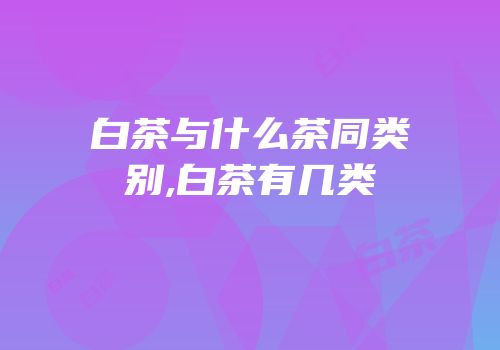 白茶与什么茶同类别,白茶有几类