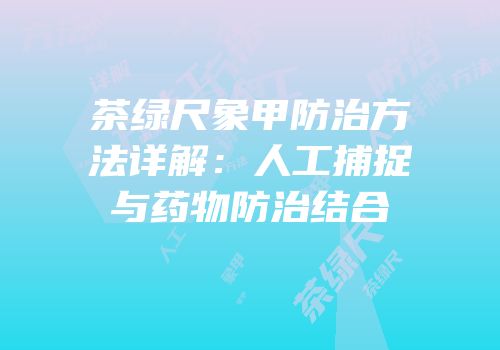 茶绿尺象甲防治方法详解：人工捕捉与药物防治结合
