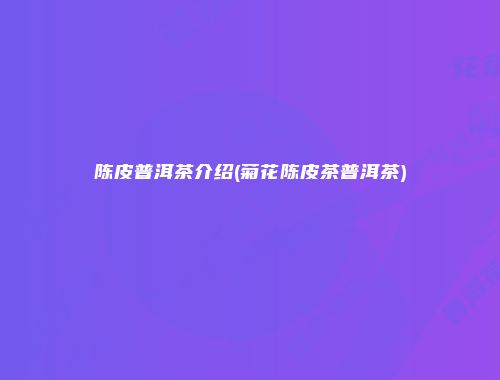 陈皮普洱茶介绍(菊花陈皮茶普洱茶)