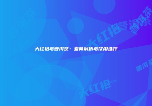 大红袍与普洱茶：差异解析与饮用选择