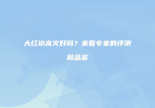 大红袍高火好吗？来看专家的评测和品鉴