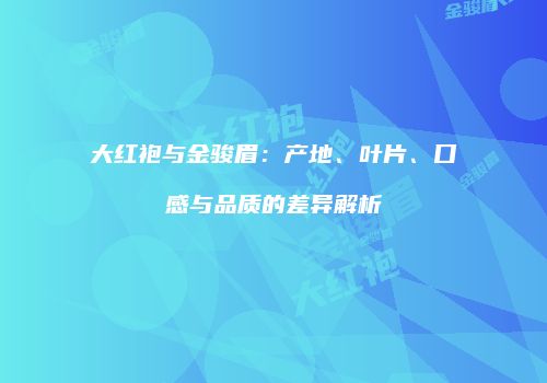 大红袍与金骏眉：产地、叶片、口感与品质的差异解析