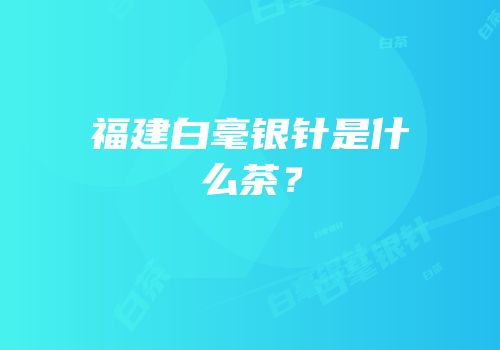 福建白毫银针是什么茶？